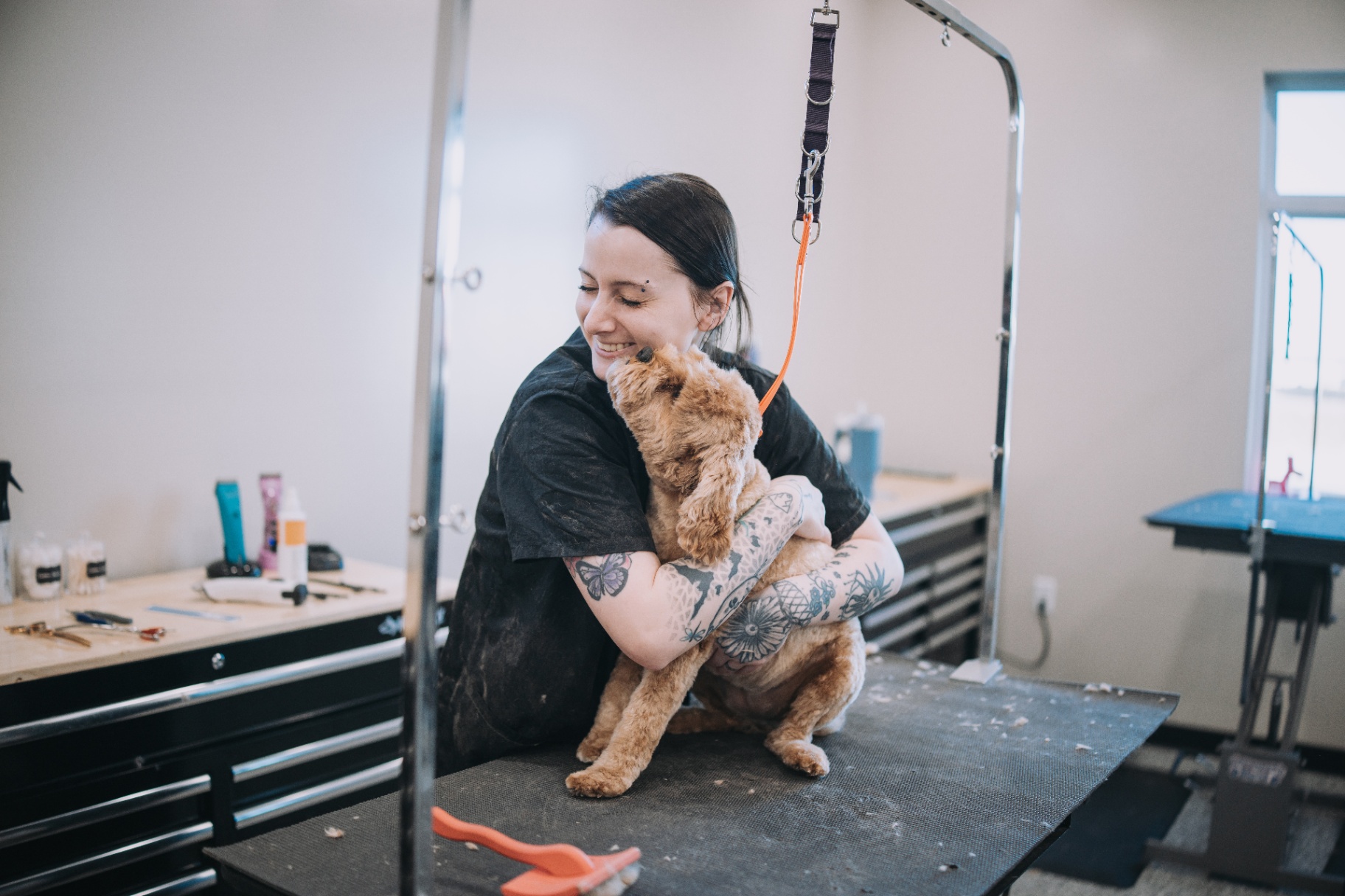 Groomer hugging a bichon at the table
