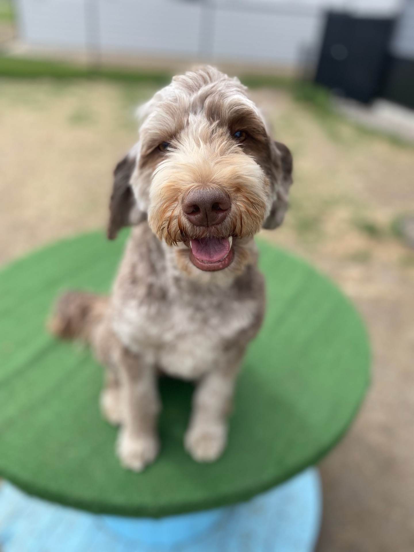 Smiling doodle on a play platform